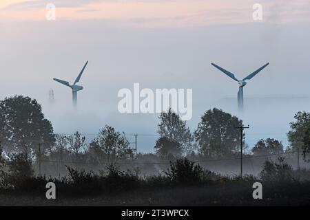 Teesdale, comté de Durham Royaume-Uni. 27 octobre 2023. UK Météo. Ce matin, ce fut un début de journée brumeux à Teesdale, dans le comté de Durham, dans le nord-est de l'Angleterre. Crédit : David Forster/Alamy Live News Banque D'Images