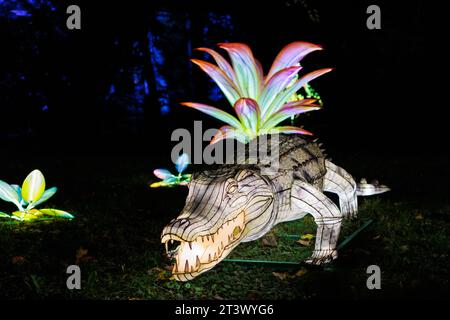 Wroclaw, Wroclaw, Pologne. 26 octobre 2023. Le thème du jardin de lumières du zoo de WrocÅ‚aw est la faune et la flore africaines. Une grande exposition d'images animales sous forme de lanternes 3D et de dispositifs lumineux géants. Ici, nous verrons un éléphant d’Afrique, des lémuriens à queue annulaire, un lion, un gorille et un grand baobab, mais aussi des espèces plus petites comme la grenouille tomate et la grue couronnée. L’exposition sera ouverte du 27 octobre 2023 au 3 mars 2024 après la fermeture du zoo. (Image de crédit : © Krzysztof Zatycki/ZUMA Press Wire) USAGE ÉDITORIAL SEULEMENT! Non destiné à UN USAGE commercial ! Banque D'Images