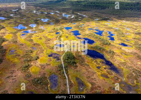 Vue aérienne spectaculaire d'un sentier de randonnée Kakerdaja Bog entouré de petits étangs sur une belle journée d'été ensoleillée en Estonie, Banque D'Images