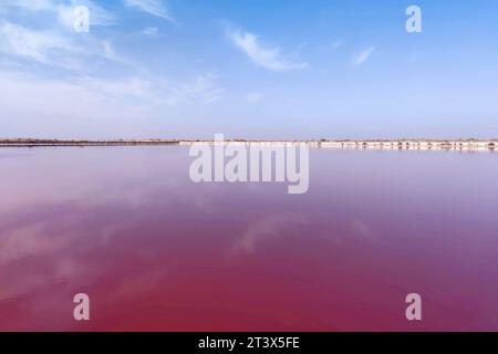 LEBAP, TUKMENISTAN - 27 OCTOBRE 2023 - Une piscine rose géante à Lebap, Turkménistan, le 27 octobre 2023. Banque D'Images