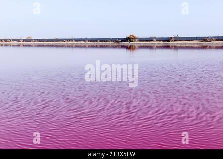 LEBAP, TUKMENISTAN - 27 OCTOBRE 2023 - Une piscine rose géante à Lebap, Turkménistan, le 27 octobre 2023. Banque D'Images