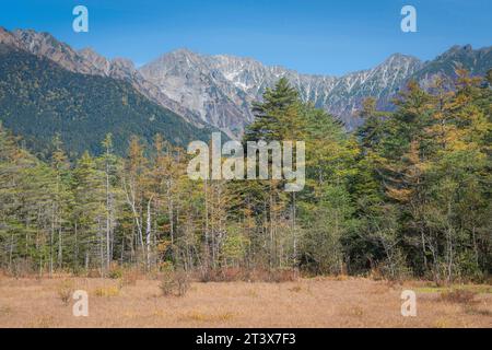 Forêt d'automne dans la vallée Banque D'Images