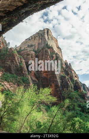 Vue de l'intérieur de la grotte Weeping Rock dans le parc national de Zion, Utah Banque D'Images