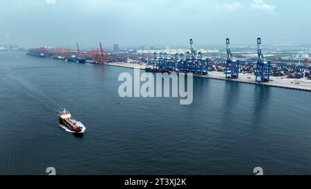 (231027) -- QINZHOU, 27 octobre 2023 (Xinhua) -- cette photo aérienne prise le 26 octobre 2023 montre le port de Qinzhou dans la ville de Qinzhou, dans la région autonome de Guangxi Zhuang, dans le sud de la Chine. Au 26 octobre de cette année, quelque 700 000 conteneurs de marchandises équivalent vingt pieds (EVP) avaient été transportés par des trains intermodaux rail-mer à travers le nouveau corridor commercial international terre-mer, en hausse de 14,8 pour cent en glissement annuel, les données du China Railway Nanning Group Co., Ltd. Ont montré. Le corridor couvre maintenant 18 provinces et 69 villes en Chine, et sa portée a été étendue à 473 ports dans 120 pays et régions Banque D'Images