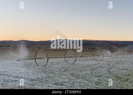 Système d'irrigation sur un matin sous-gelé avant l'aube Banque D'Images