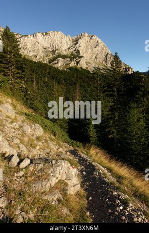 Paysage de montagne avec chemin à travers la forêt dans la lumière et l'ombre de l'heure d'or dans le parc national de Sutjeska, Bosnie-Herzégovine Banque D'Images