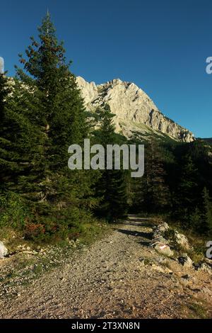 Paysage de montagne avec chemin à travers la forêt dans la lumière et l'ombre de l'heure d'or dans le parc national de Sutjeska, Bosnie-Herzégovine Banque D'Images