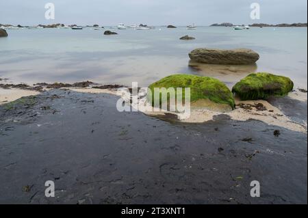 FRANCE, Bretagne, Plage de Menehem, effets du naufrage du pétrolier Amoco Cadiz, 1978 pétrole brut à la plage / FRANKREICH, Bretagne, Strand von Menehem, Ölreste der Tankerkatastrophe der Amoco Cadiz, Aufnahmedatum 10.8.2023 Banque D'Images