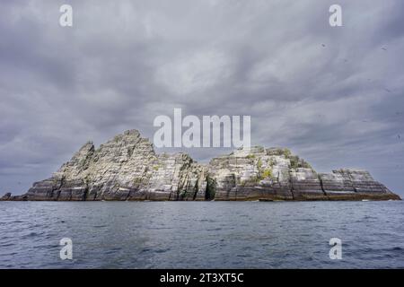 Sceilg Bheag , Skellig Rock Small, Irlande, Royaume-Uni. Banque D'Images