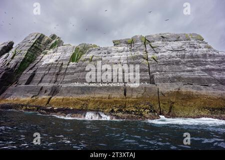 Sceilg Bheag , Skellig Rock Small, Irlande, Royaume-Uni. Banque D'Images