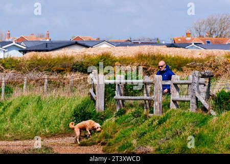 Sentier à côté de Sturt Pond. Milford on Sea, New Forest, Hampshire, Angleterre, Royaume-Uni, Europe Banque D'Images