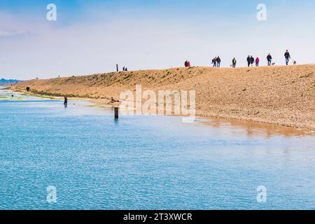 Sentier à côté de Sturt Pond. Milford on Sea, New Forest, Hampshire, Angleterre, Royaume-Uni, Europe Banque D'Images