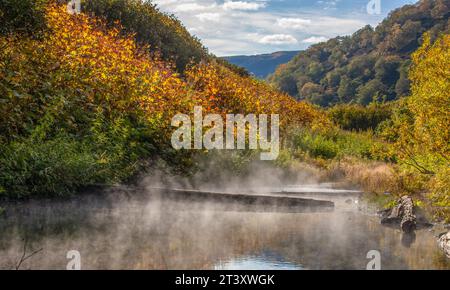 Les sources thermales de la péninsule du Kamchatka dans la forêt Banque D'Images