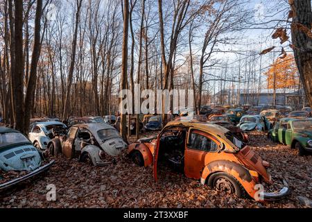 Parc de voitures abandonnées PENNSLYVANIA CE cimetière MYSTÉRIEUX est rempli de plus DE DEUX CENTS voitures Volkswagen de plus d'un demi-siècle, dont l'emblématique Banque D'Images