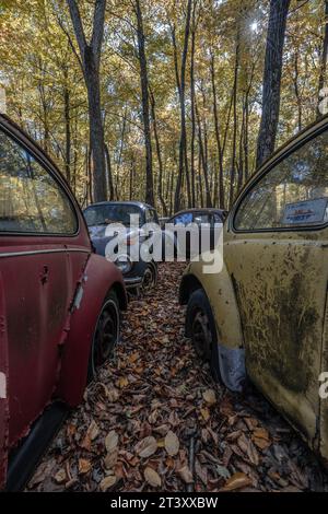 Cimetière de voitures Volkswagen PENNSLYVANIA CE cimetière MYSTÉRIEUX est rempli de plus DE DEUX CENTS voitures Volkswagen de plus d'un demi-siècle, y compris la Banque D'Images