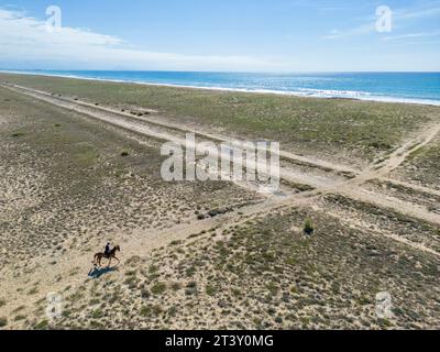 Équitation pour cavalier solitaire sur une plage des Landes (Mer, Tarnos (40220), Landes (40), Nouvelle-Aquitaine, France). Banque D'Images