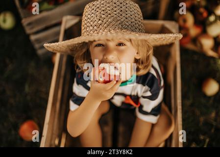 Drôle petit enfant mord pomme juteuse, assis dans une boîte en bois garden.Organic fruits Banque D'Images