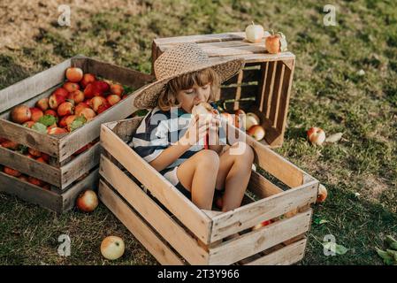 Drôle petit enfant mord pomme juteuse, assis dans une boîte en bois garden.Organic fruits Banque D'Images