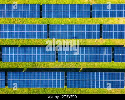 Vue aérienne de dessus des rangées de panneaux solaires dans le champ vert. Ferme produisant de l'énergie électrique propre à partir de ressources renouvelables. Banque D'Images