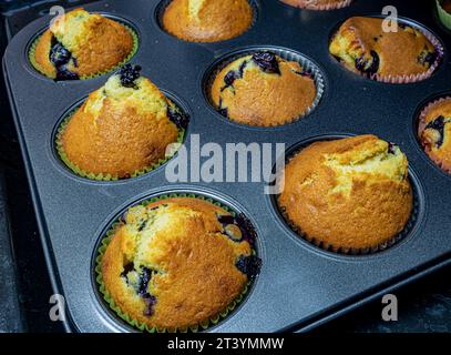 muffins avec des baies dans un plat allant au four Banque D'Images