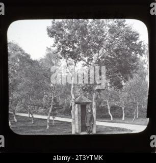 Vue dans l'avenue au château de Balmoral vers 1860s, par George Washington Wilson (1823-1893) Banque D'Images