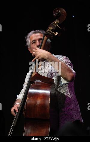 Le bassiste de jazz Steve Watts joue en concert avec Adam Glasser Quartet, Scarborough Jazz Festival 2023 Banque D'Images
