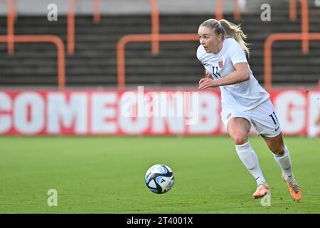 Deinze, Belgique. 26 octobre 2023. Photographié lors d'un match amical de football entre les équipes nationales féminines de moins de 23 ans de Belgique, appelé les flammes rouges, et la Norvège le vendredi 26 octobre 2023 à Deinze, Belgique . Crédit : Sportpix/Alamy Live News Banque D'Images