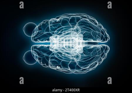 Vue de dessus ou de dessus du cerveau entier Whit Eyes illustration de rendu 3D. Anatomie du corps humain et du système nerveux, médecine, soins de santé, biologie, Banque D'Images