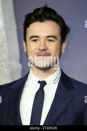 Londres, Royaume-Uni. 31 janvier 2019. Keean Johnson assiste à la première mondiale d'Alita : Battle Ange qui se tient à l'Odeon Leicester Square à Londres, en Angleterre. (Photo Fred Duval/SOPA Images/Sipa USA) crédit : SIPA USA/Alamy Live News Banque D'Images