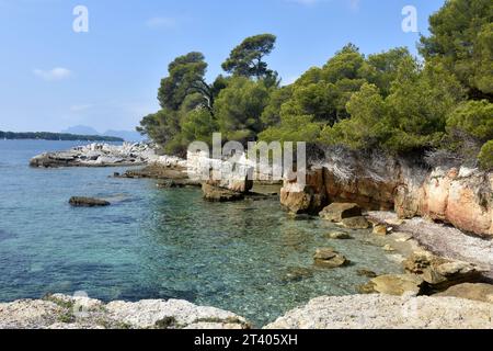 France, côte d'azur, Inslands de Lérins, une anse dans l'île Sainte Marguerite, ce site naturel est très préservé. Banque D'Images