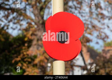 Décoration de coquelicot du jour du souvenir sur lampadaire, commémorant le jour de l'armistice, automne 2023, Farnborough, Hampshire, Angleterre, Royaume-Uni Banque D'Images