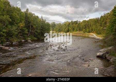 Paysage sur le sentier Glynn Mills Pond à Corner Brook, Terre-Neuve Banque D'Images