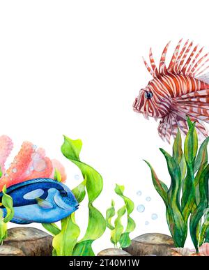 Ensemble de dessin d'aquarelle d'algues de ruban, pierres de fond, corail, bulles d'air, poisson-lion et poisson chirurgien sur fond blanc. Illustration sous-marine pour Banque D'Images