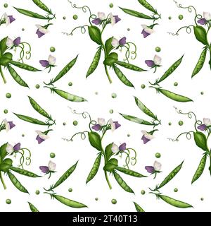Motif sans couture avec des brindilles et des gousses de pois verts et de fleurs violettes, peint à la main à l'aquarelle sur un fond blanc. Illustration. Modèle pour Banque D'Images