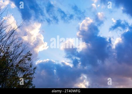 Le coucher de soleil d'automne vibrant peint le ciel avec des nuages colorés et denses au-dessus des branches d'arbres. Temps froid et serein dans un cadre naturel Banque D'Images