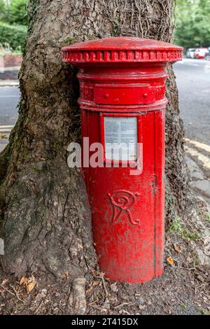 Une boîte postale Royal mail désaffectée engloutie par un arbre à Roath, Cardiff, pays de Galles Banque D'Images