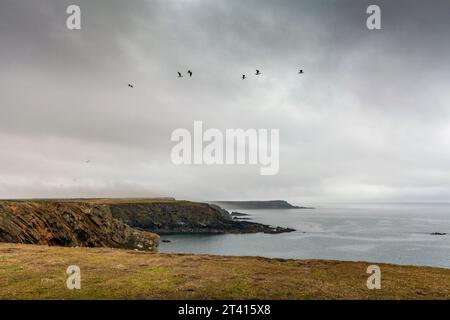 Vue depuis Wooltack point, Pembrokeshire, pays de Galles du Sud Banque D'Images