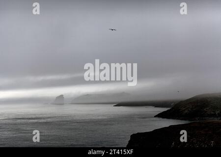 Vue depuis Wooltack point, Pembrokeshire, pays de Galles du Sud Banque D'Images