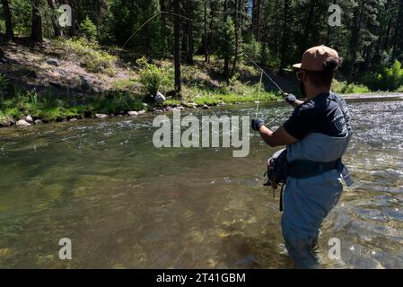 Pêche à la mouche sur la rivière Minam Wild & Scenic, dans les montagnes Wallowa, Oregon. Banque D'Images