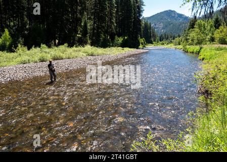 Pêche à la mouche sur la rivière Minam Wild & Scenic, dans les montagnes Wallowa, Oregon. Banque D'Images