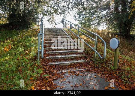Une volée d'escaliers à l'extérieur couverte de feuilles d'automne tombées. Les mains courantes sur le côté des marches offrent de l'aide à ceux qui en ont besoin. Banque D'Images