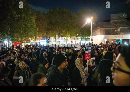 Londres, Royaume-Uni - 27 octobre 2023 : manifestation pro-Palestine à Walthamstow. Banque D'Images