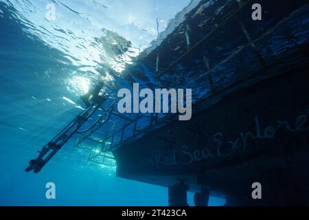 Safari bateau, bateau de plongée, livaboard Red Sea Explorer par en bas, échelle, sortie. Le plongeur sort de l'eau. Site de plongée Small Abu Reef, Fury Shoals, Red Banque D'Images