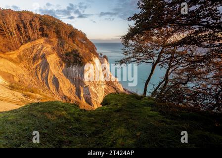 Le soleil du matin brille sur la falaise de craie Moens Klint, île de la mer Baltique Moen, Danemark Banque D'Images