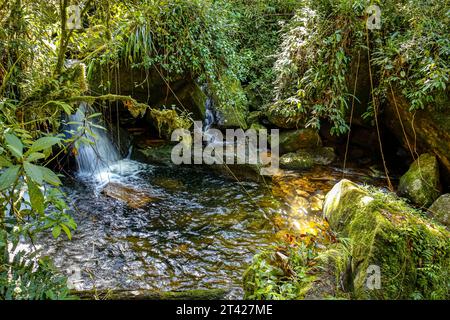 Petite cascade panoramique plongeant dans une piscine dans la forêt tropicale atlantique, Serra da Mantiqueira, Brésil Banque D'Images