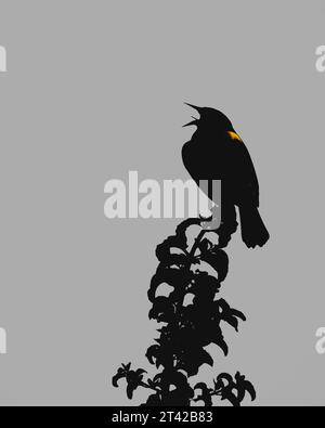 Une photo en noir et blanc d'une silhouette d'un corbeau ou d'un corbeau perché sur une branche d'arbre Banque D'Images