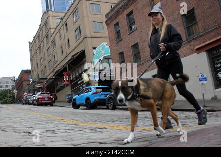 Une femme souriante portant un imperméable jaune et un parapluie noir promène son petit chien blanc et brun dans une rue pavée un jour de pluie Banque D'Images