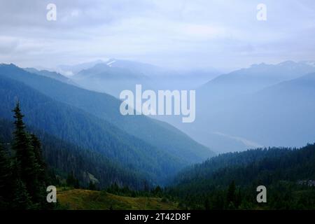 Une vue panoramique sur les majestueuses chaînes de montagnes englouties dans la brume du parc national olympique. Banque D'Images