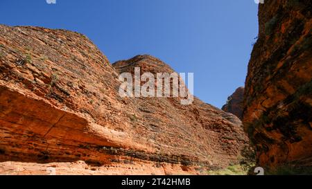 Marchez jusqu'à Cathedral gorge dans les Bungle Bungle Ranges (Purnululu), Australie occidentale Banque D'Images