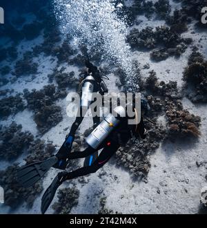 Les plongeurs explorent les récifs coralliens vibrants sous la surface des eaux turquoise de la mer Banque D'Images